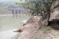 盖石河对面有铁路