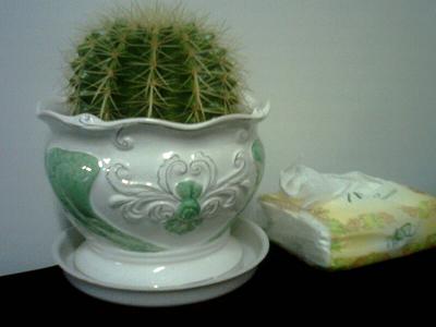 关于“有根”和“无根”_桂启洪个人网站