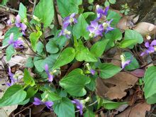 生活小常识——盐的妙用_桂启洪个人网站