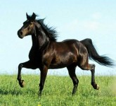 浮躁是青春的绊足石_桂启洪个人网站