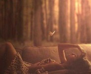 静夜思_桂启洪个人网站