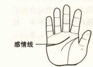 感情线