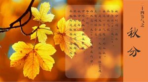 秋分