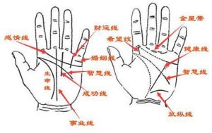 手纹