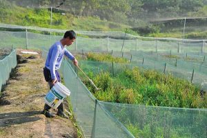 农村人很勤劳
