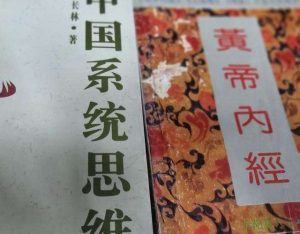 中华传统中医理论
