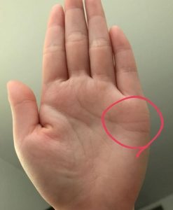 感情线分叉感情易出现波折