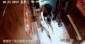 宇芽被沱沱的风魔教拖出电梯的视频