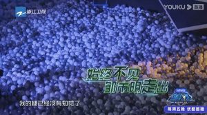 专业拳击手邹市明作为嘉宾参与节目，腿抽筋、完全没力气、一度消失在“球池”中，最终需要多名工作人员合力将其抬出