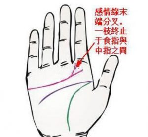 感情线末端出现分叉，且三叉很长