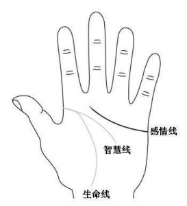 感情线明亮清晰