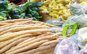 世界卫生组织呼吁采取一种新的方法来应对迅速变化的粮食系统。
