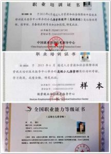 燕小六看到各种样式的证书