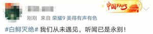 长江白鲟灭绝，网友评论：听闻已是永别