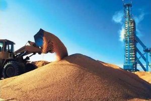 现代高产量堆积如山的稻谷