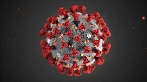 科学家担心COVID-19可能很快会成为大流行病