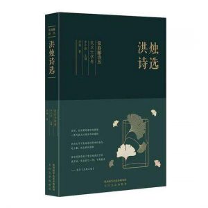 洪烛诗集
