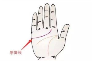 手相感情线图解
