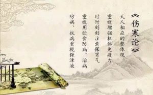 张仲景的伤寒杂病论