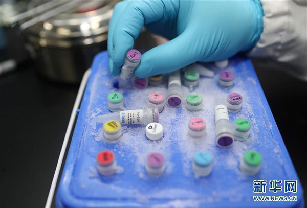 1月29日，在中国上海，工作人员在演示新型冠状病毒mRNA疫苗实验过程。
