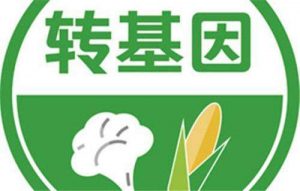 关于转基因作物到底对人体危害如何，这可能是一个备受争议的科学问题