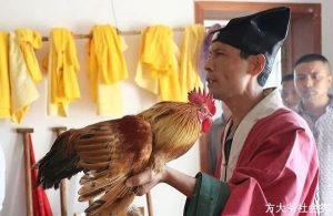 按照半仙的说法使用这个方法可以是“药到病除”，比去医院好的都快