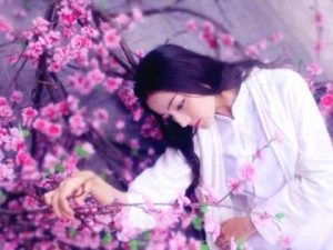 砍掉烂桃花的秘诀