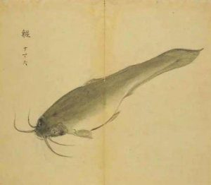 《小雅•鹿鸣之什•鱼丽》诗经鉴赏及译文