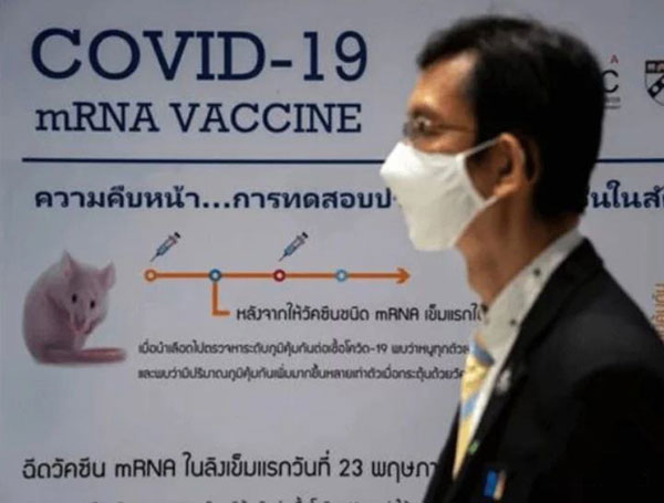 泰国一种新冠疫苗有望于明年初面世