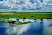 说一说客观规律中的主观能动性_桂启洪个人网站