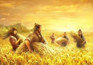 到了16世纪时，西安府的耕地面积，就突破了24万顷，公认西北“粮仓”。