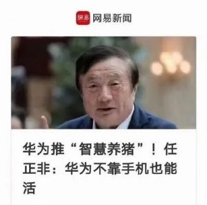 那就是华为在进行自我拯救