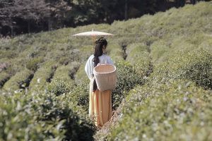 八字日支简单看配偶性格