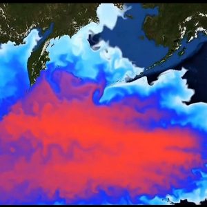 日本福岛事故已经发生，核废水总要用某个办法处理