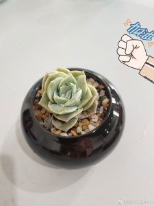现实生活中很多内卷的例子
