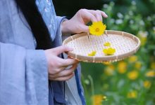 十神职能的基本解读_桂启洪个人网站