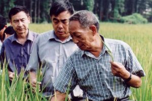 袁隆平的生长时期，正值共和国成立前的动荡岁月