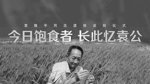 神灵的崩逝永远是一件震动三界的大事