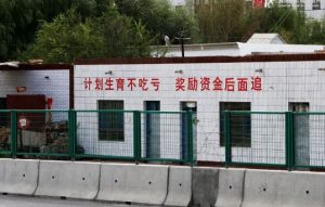 三胎放开之际，盘点农村那些有关节育的经典横幅