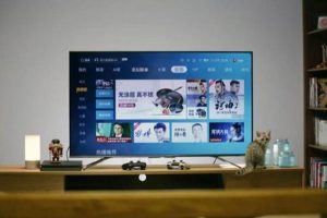中国家电在国内已经无敌，但在国际化道路上，还需要继续努力。
