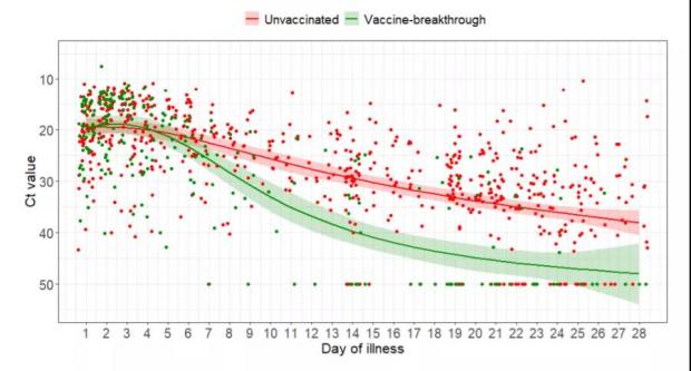 疫苗接种者的病毒载量下降速度更快