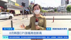 韩国一个梨20多元