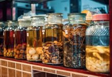 中医药酒之功用及历史沿革_桂启洪个人网站