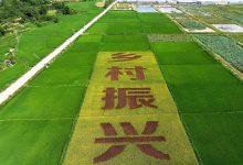 做好乡村文化振兴这篇大文章_桂启洪个人网站