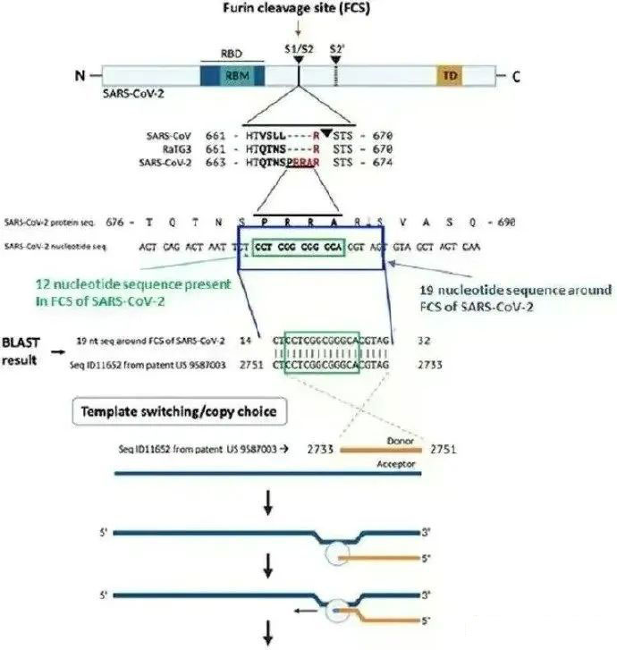 目前导致全球大疫情的新冠病毒的基因中，居然含有美国莫德纳公司在2016年2月申请的专利基因片段。