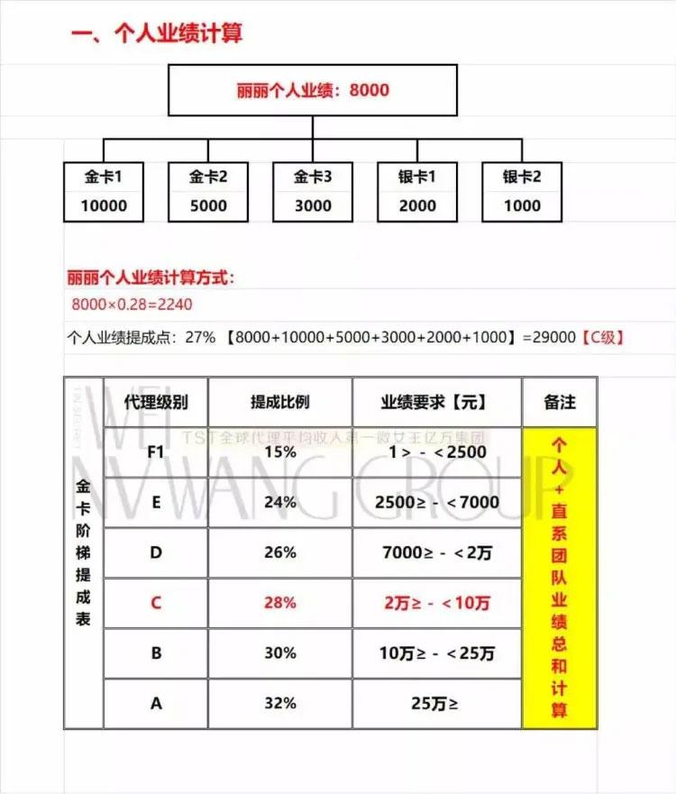 TST庭秘密代理业绩计算方式（图源：新京报）