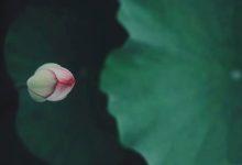 伏吟的一些看法_桂启洪个人网站