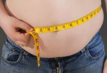 胖人越来越多，根源到底是什么？_桂启洪个人网站