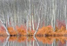 纳瓦尔：要想真的赚到钱，先要相信你自己很值钱_桂启洪个人网站