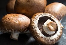 为什么多吃蘑菇可以防老年痴呆？_桂启洪个人网站